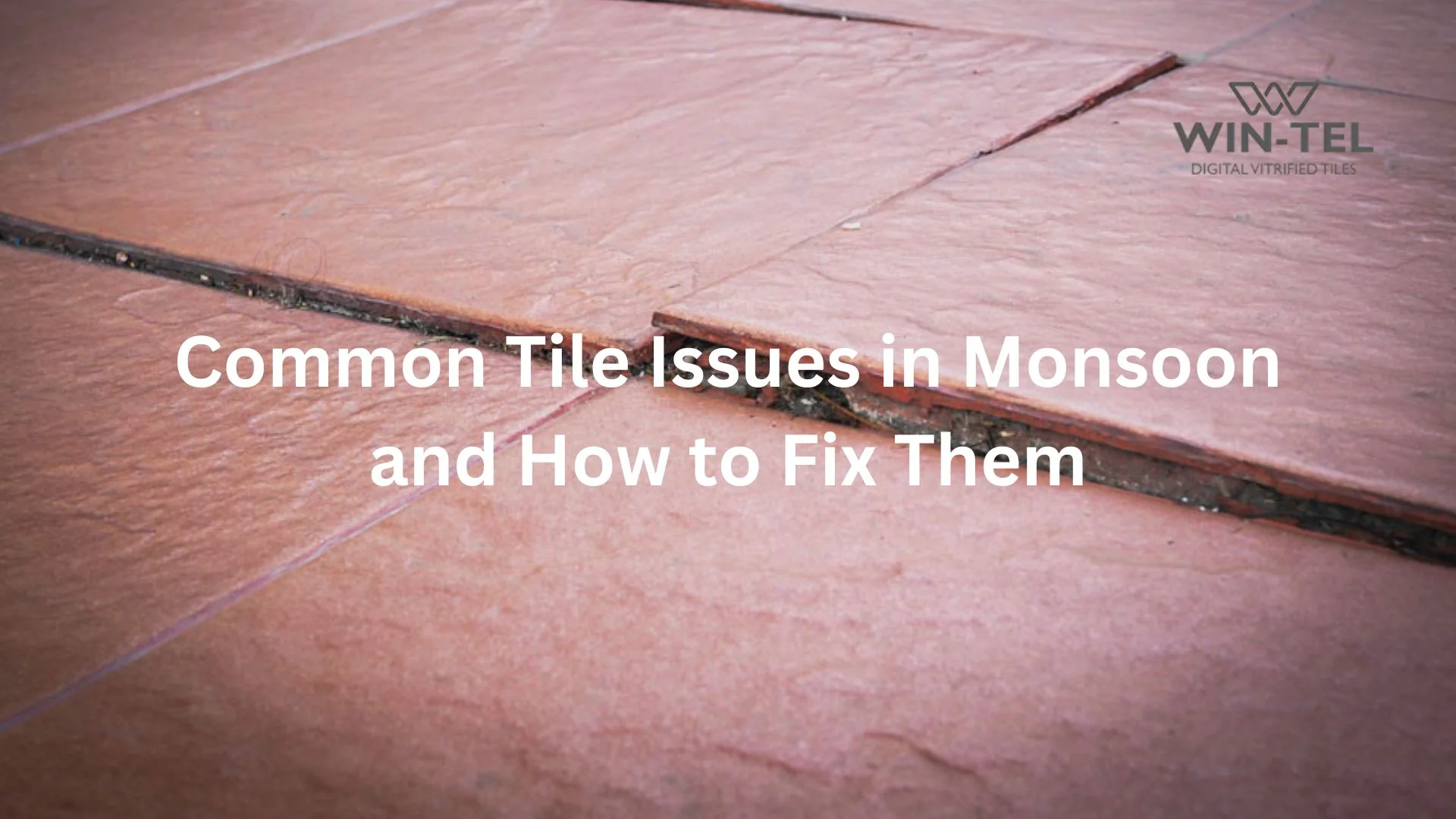 Common Tile Issues In Monsoon And How To Fix Them